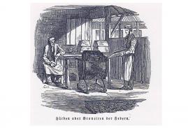 federfaerben