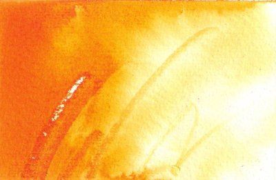 Rohrer's Encre Antique Apricot