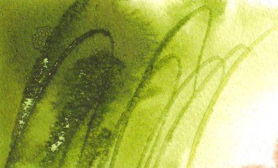 Rohrer Inchiostro Antico Verde Cheops