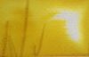 SAFRAN Tinta