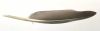 Greylag goose quill, cut, A-Quality